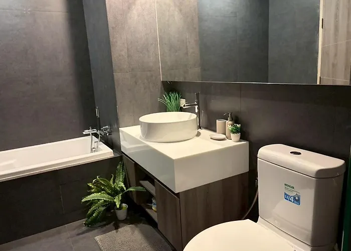 2 Bed 2 Bath Luxury Next To Convention Center Apartment